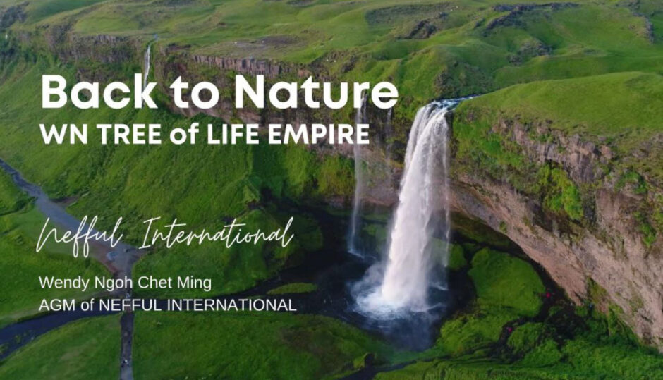 wn-tree-of-life-empire-Blog1