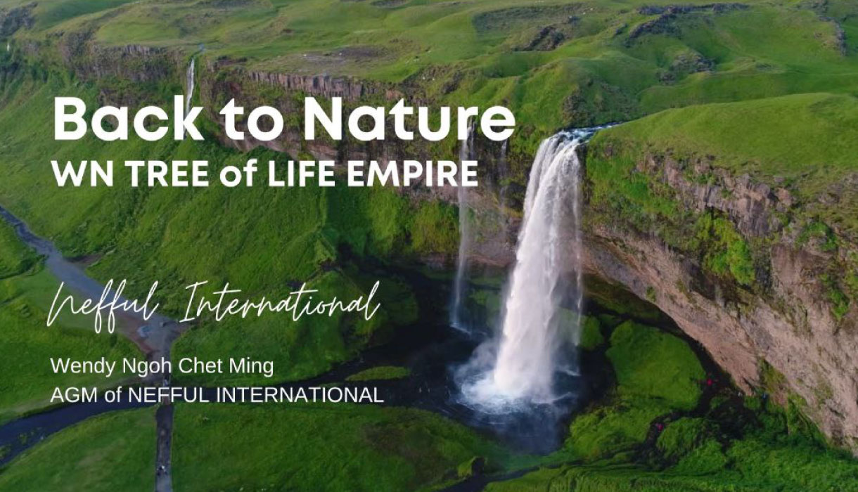 wn-tree-of-life-empire-Blog1